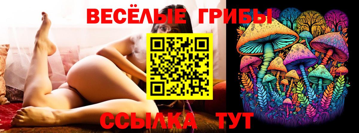 Псилоцибиновые грибы Magic Shrooms Магнитогорск