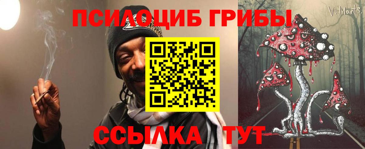 Магнитогорск  где найти наркотики  Вход с VPN  Галлюциногенные грибы MAGIC MUSHROOMS 